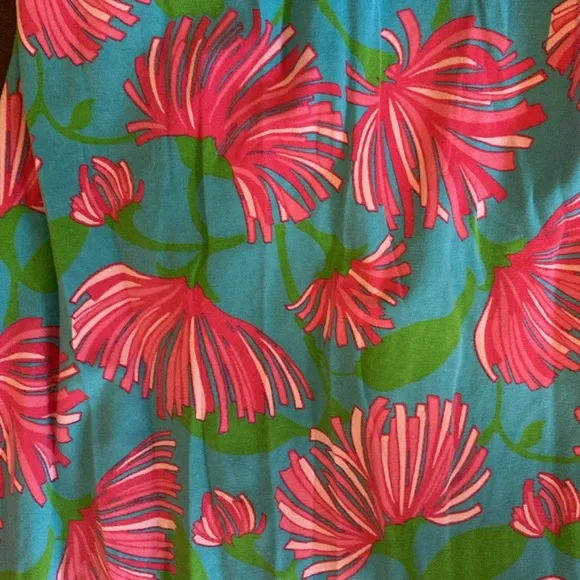 Lilly Pulitzer Maxi - Picture 3 of 5